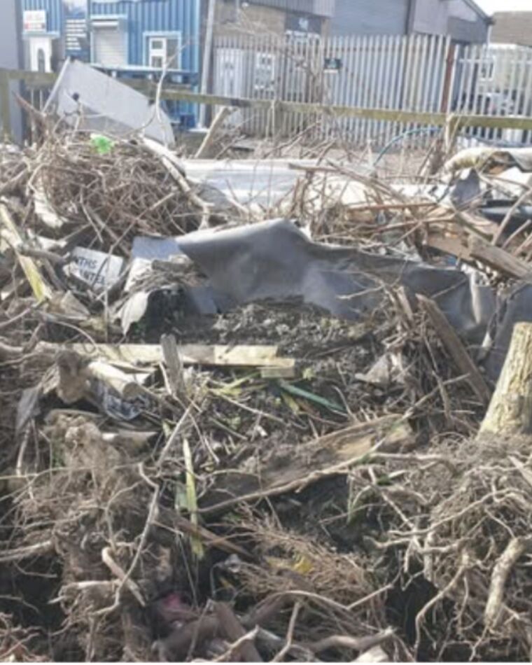 A yard heaped with tree roots, branches and torn roofing felt